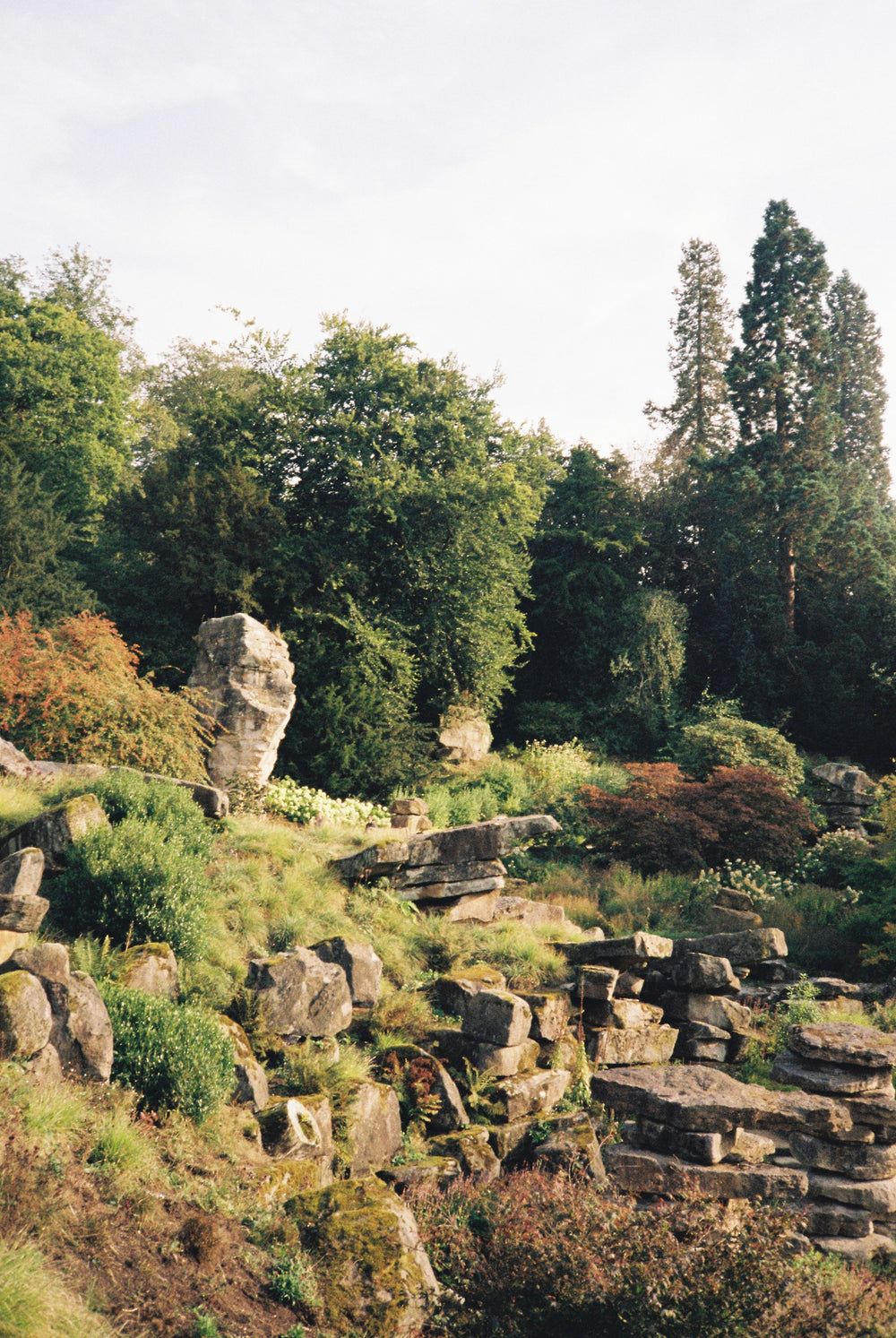 Ruin of an ancient temple with stone statues amidst greenery, shot with Fujifilm 200 - 35mm film