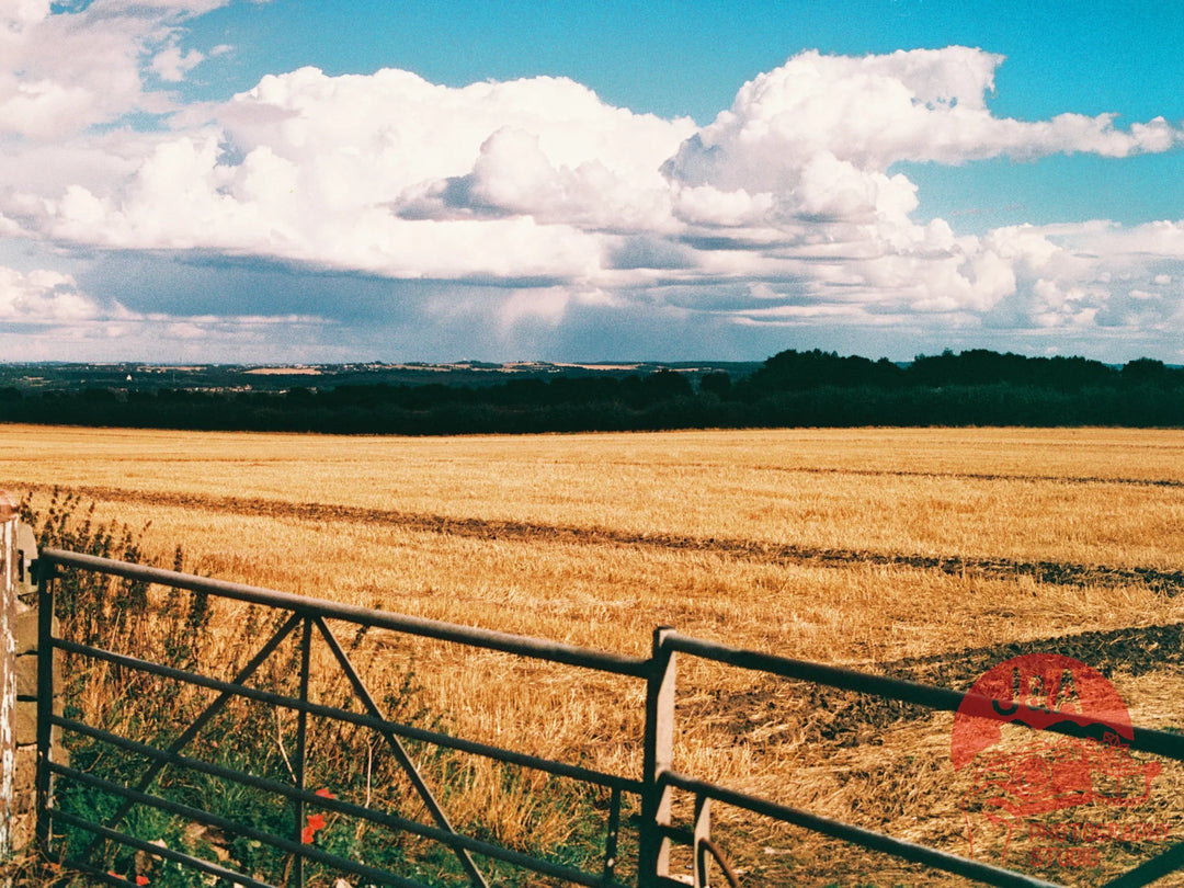Landscape captured on Harman Phoenix 200 120 film for vibrant tones