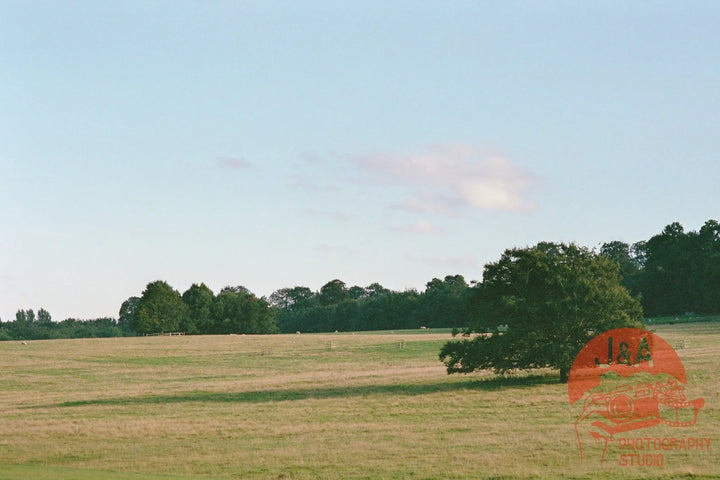Sunset landscape captured on Fujifilm QuickSnap disposable camera with vibrant analog colours