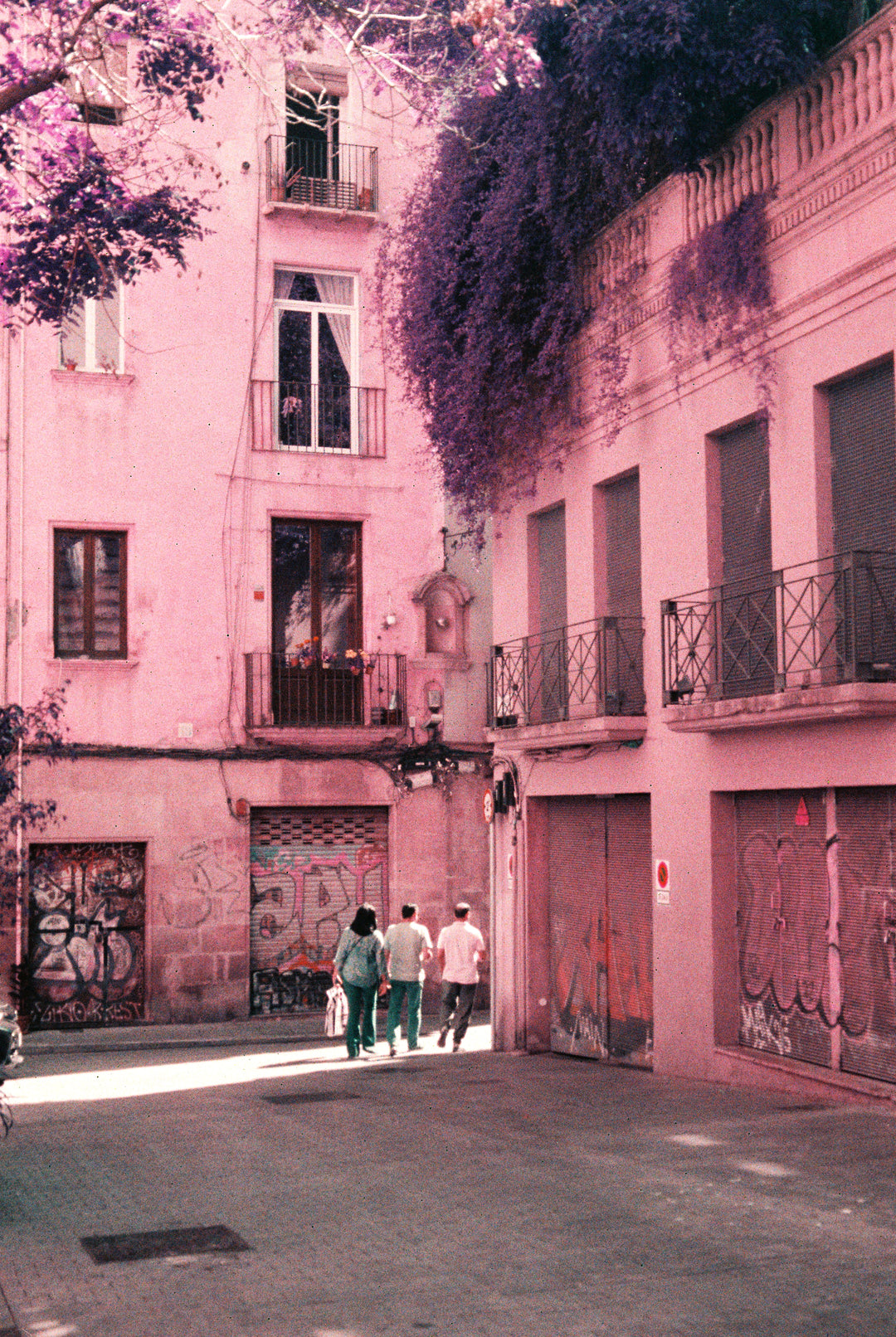 Lomography Purple- 35mm film