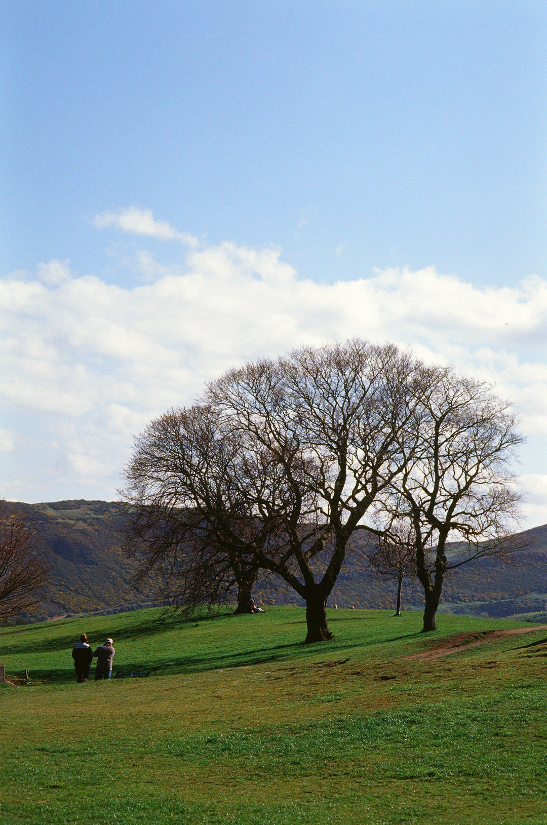 Kodak Ektachrome E100 slide film samples - J&A Photography Studio