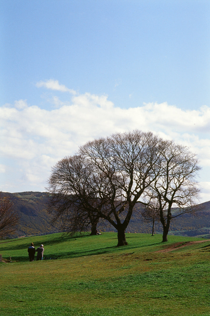 Kodak Ektachrome E100 slide film samples - J&A Photography Studio