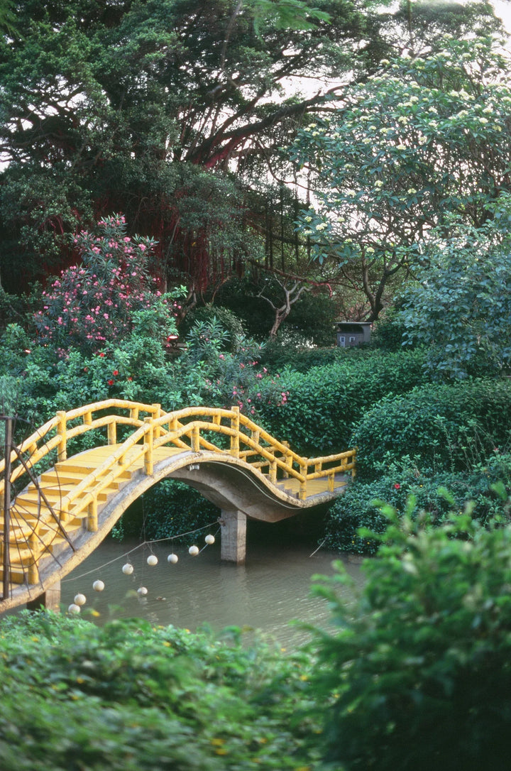 High-quality product image of 35mm & 120 E6/Slide Film Developing service, professional E6 film processing for Fuji and Kodak colour transparency film, san sample 3