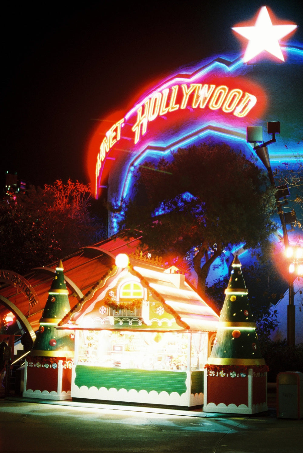 Cinestill 800t - 35mm film sample 2