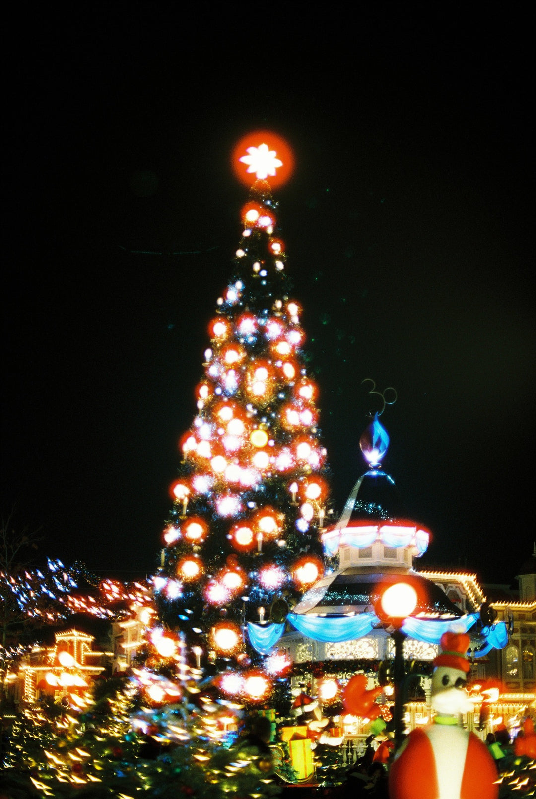 Cinestill 800t - 35mm film sample 4