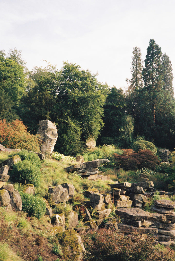 Ruin of an ancient temple with stone statues amidst greenery, shot with Fujifilm 200 - 35mm film