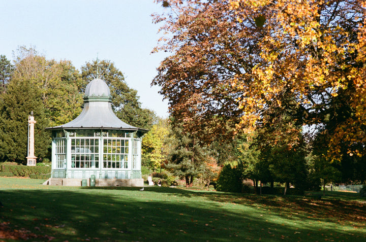 Kodacolor 200 - 35mm film sample 3