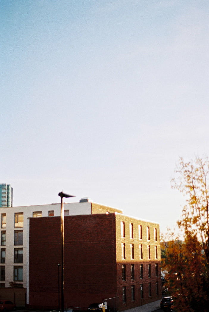 Kodak Ektar 100 - 35mm film sample