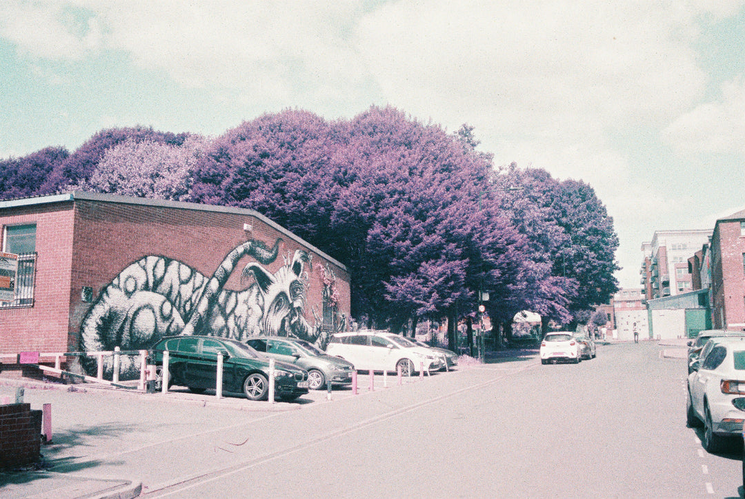 Lomography Purple- 35mm film