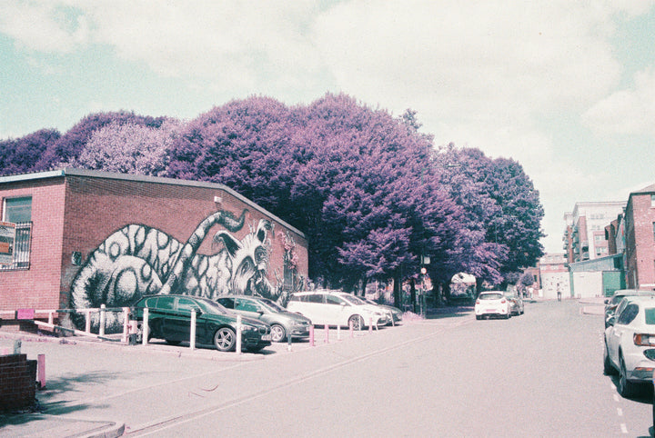 Lomography Purple- 35mm film