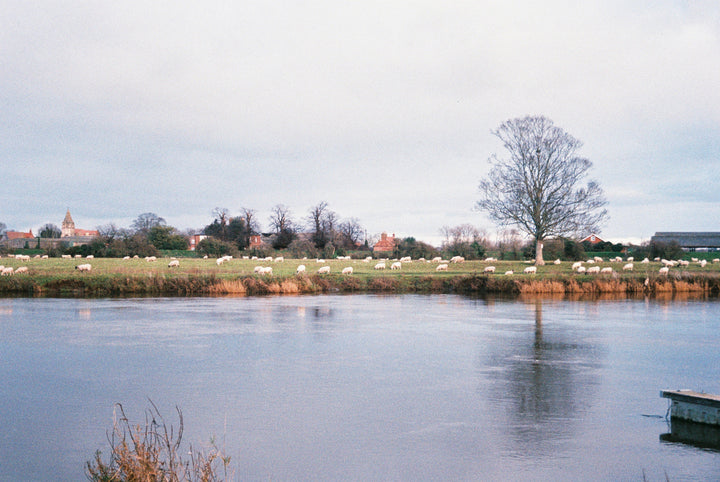 Lucky C200 35mm film sample 6