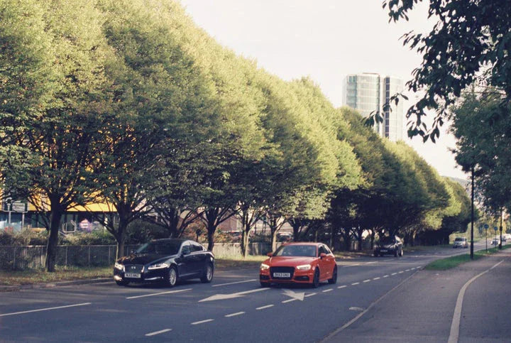 Professional ECN-2 Film Developing using high-quality ECN2 chemicals. Expert motion picture film processing with rich colours, fine detail, and cinematic results, san sample 2