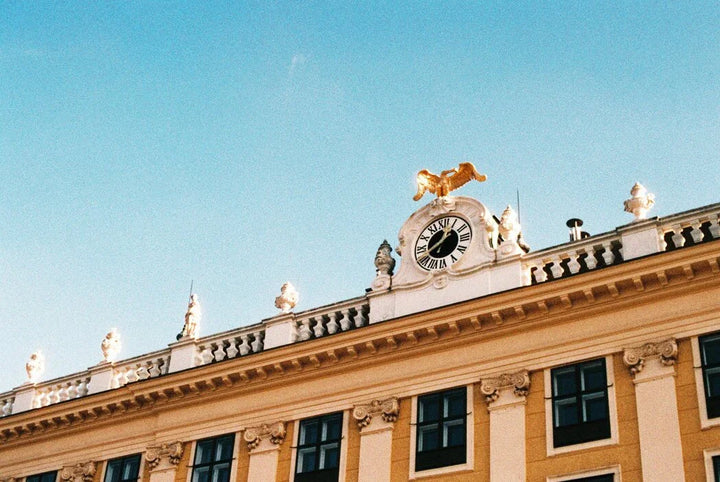 Creative analog photo taken on Harman Phoenix 200 35mm film