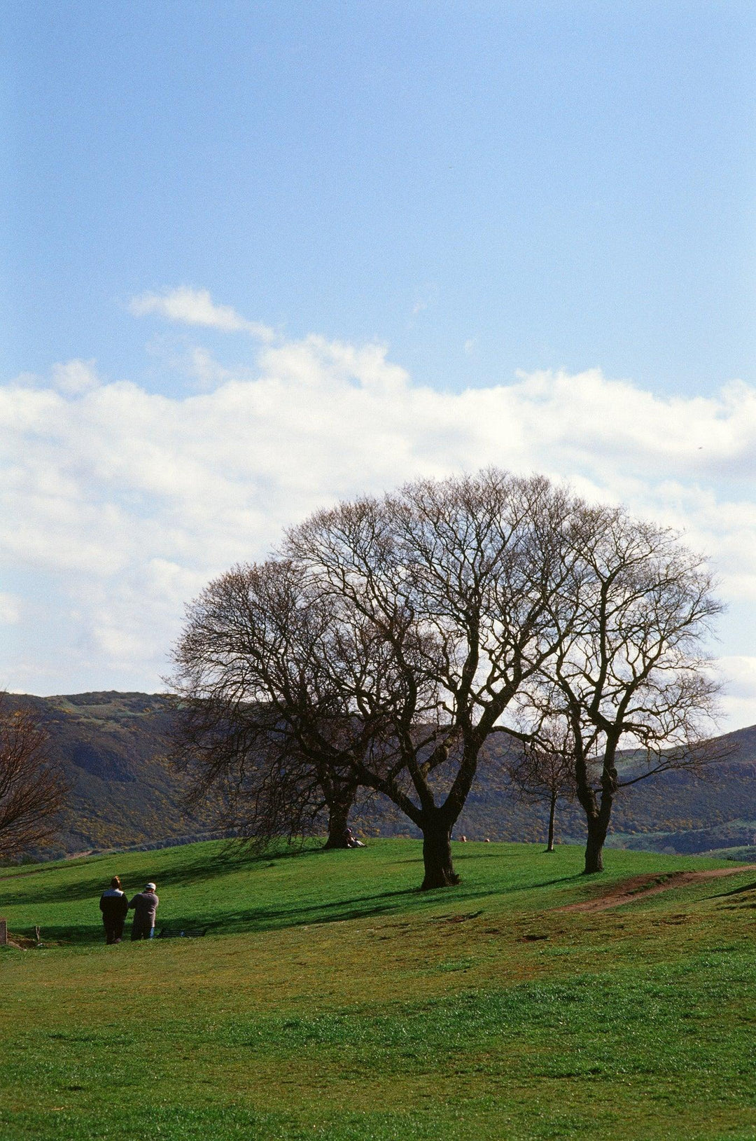 Colour film photo taken with Kodak Ektachrome E100 35mm roll