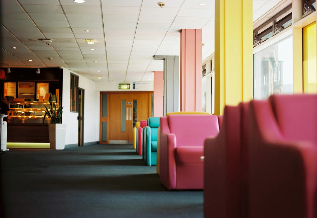 Nature scene captured using Kodak Ektar 100 120 medium format film