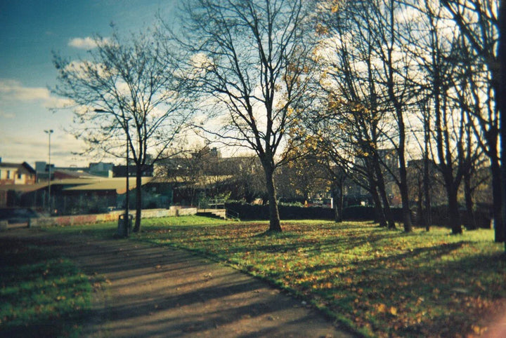 Retro-style image captured on Kodak M35 35mm camera