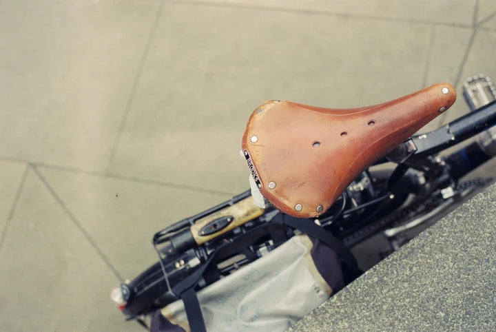 Scenic nature photograph taken with Kodak 5207 35mm film