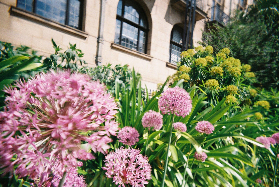 LomoApparat camera shooting street and landscape photography