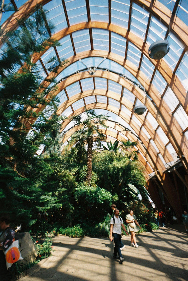 35mm film photography with LomoApparat camera kit