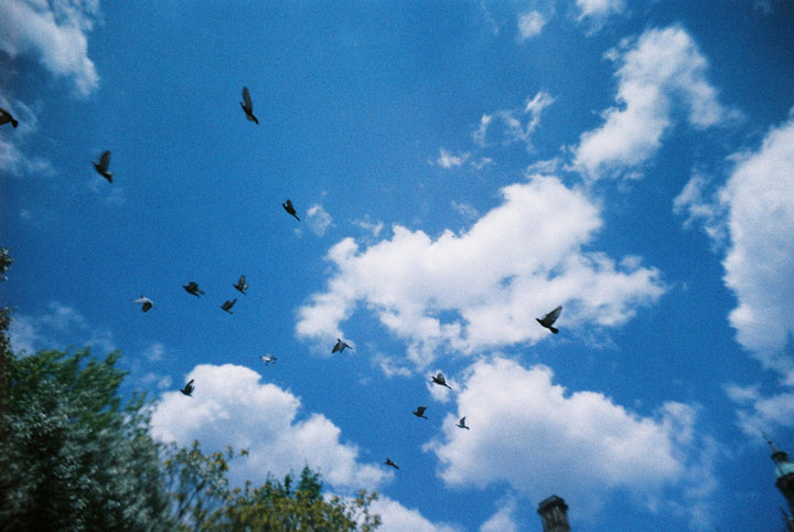 Photographer capturing images with LomoApparat 35mm film camera