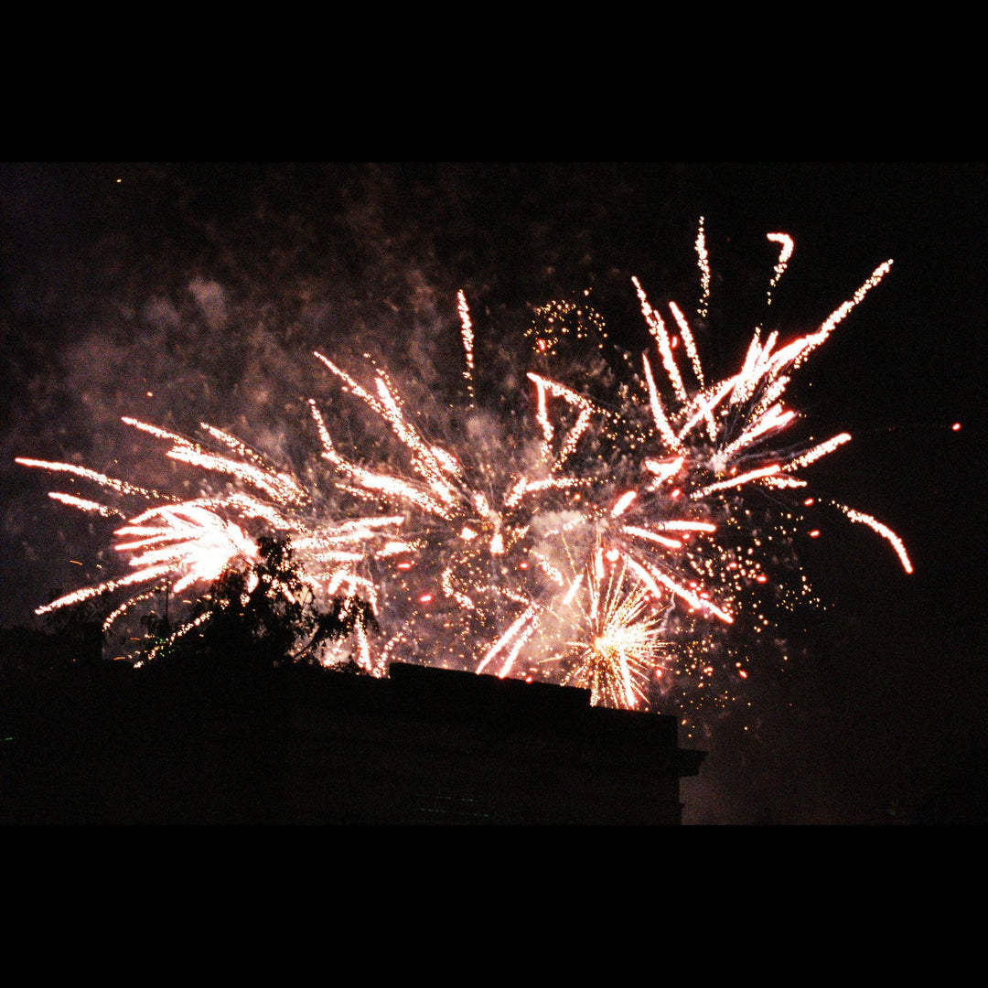 Fireworks at Sheffield Botanical Gardens captured on Lomography 800 35mm film with vibrant colours and low-light detail