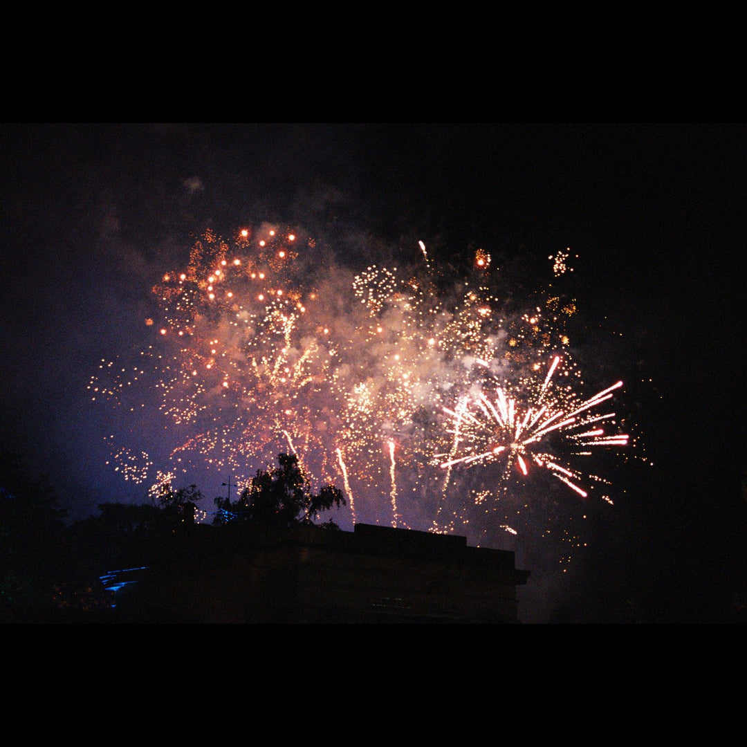 Colourful firework display at Sheffield Botanical Gardens captured on Lomography 800 film with crisp detail and contrast