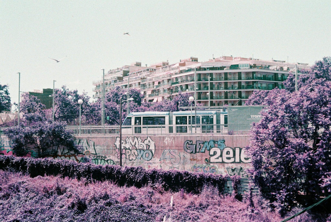 Landscape captured with lomochrome purple 35mm film for artistic photography