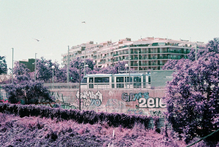 Landscape captured with lomochrome purple 35mm film for artistic photography