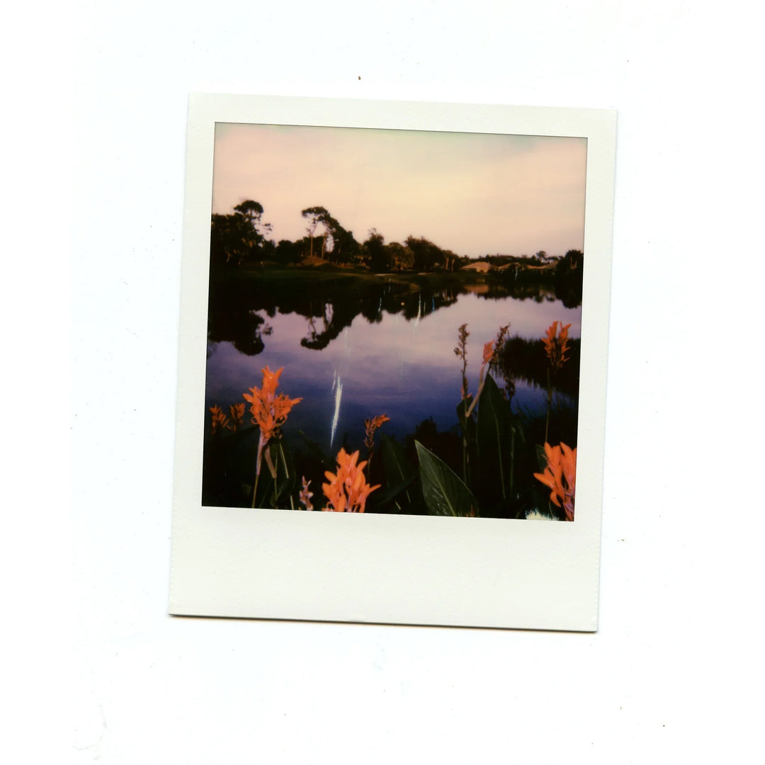 Lake scene photographed using Polaroid 600 instant film with rich, true-to-life colours