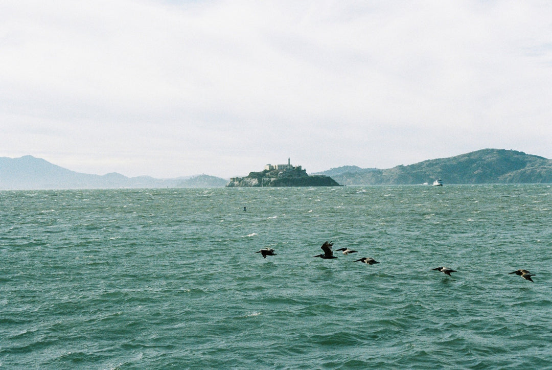35mm/120 Colour Film (C41 & Disposable camera) Development - J&A Photography Studio