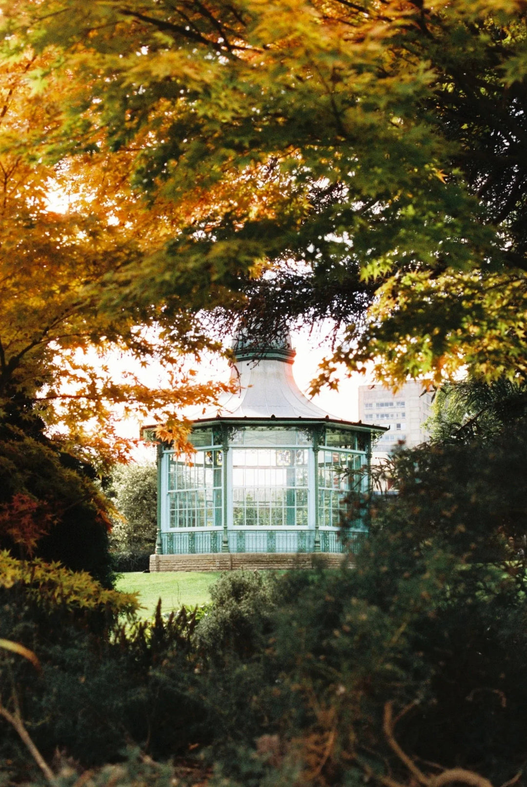 Weston Park in Sheffield captured on Cinestill 400D 35mm film with bright daylight colours and analog charm