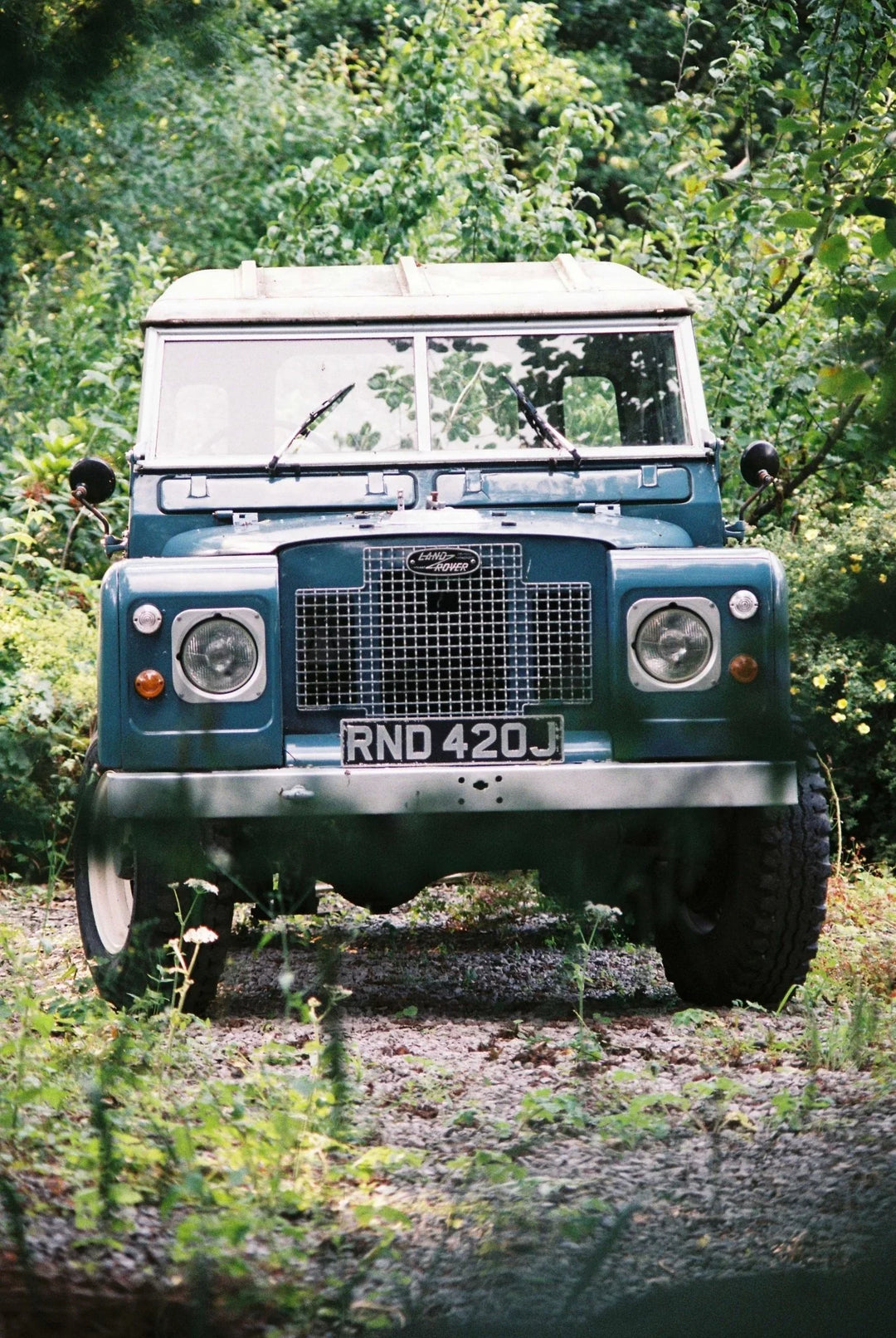 Analog image showcasing colour and detail on Fujifilm Superia X-TRA 400 35mm film