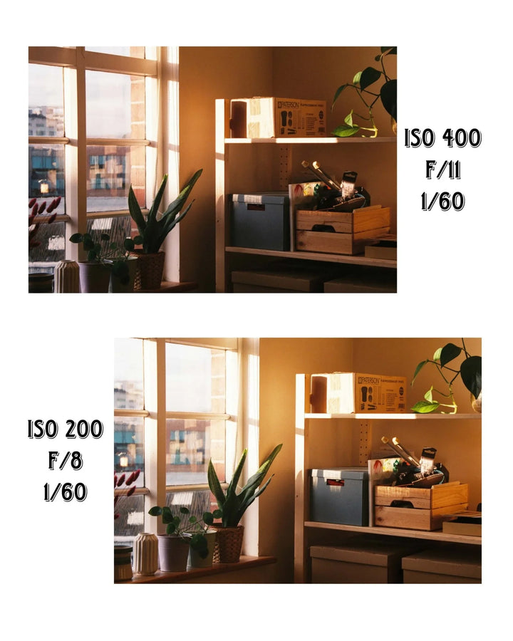 Creative analog photo captured with Fuji XTRA 400 35mm film, different ISO comparison again