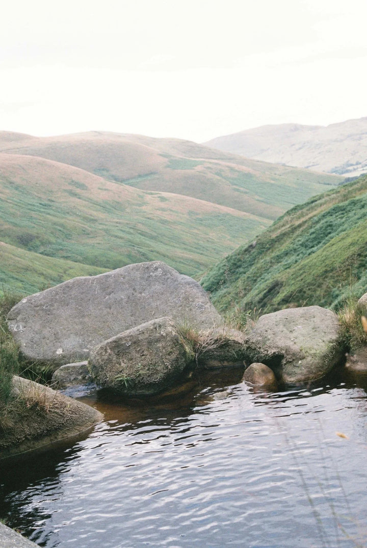 Analog image showcasing colour and detail on Fujifilm Superia X-TRA 400 35mm film