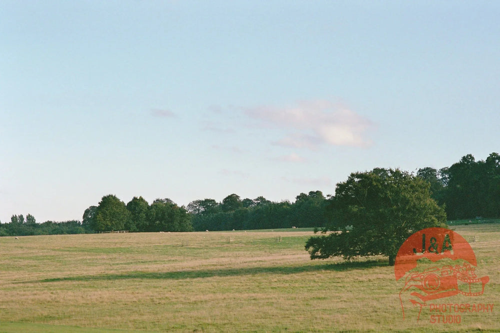 Sunset landscape captured on Fujifilm QuickSnap disposable camera with vibrant analog colours
