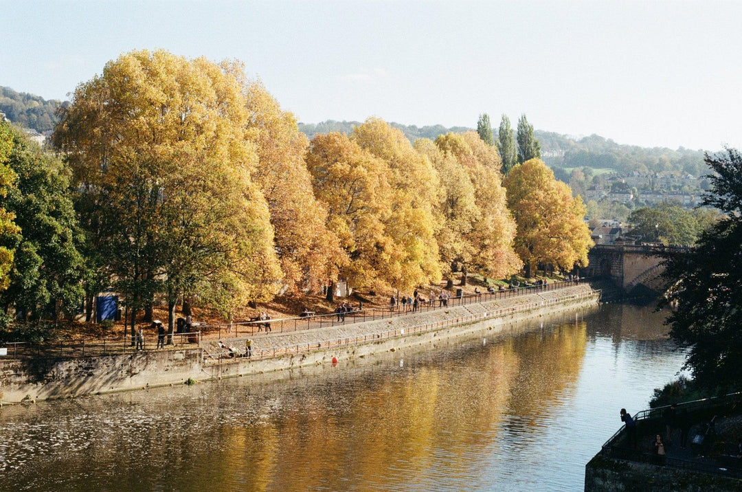 Riverside scene in autumn with yellow-leaved trees captured on Kodak ColorPlus 200 35mm film, showing vibrant colours and fine detail.