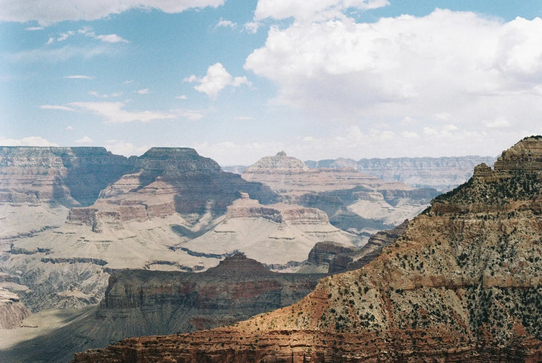 Film Scans / Prints from negatives - J&A Photography Studio